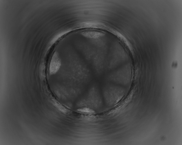 X0000100891019200807220946