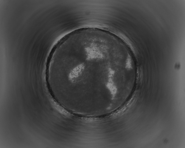 X0000100891020200807220946