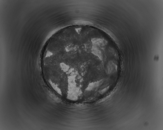 X0000100891022200807220946