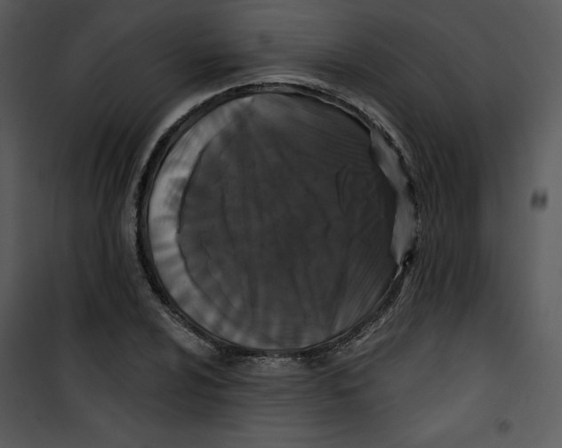 X0000100891024200807220946