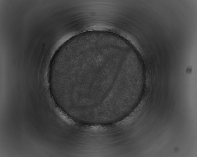 X0000100891026200807220946