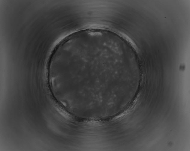 X0000100891027200807220946