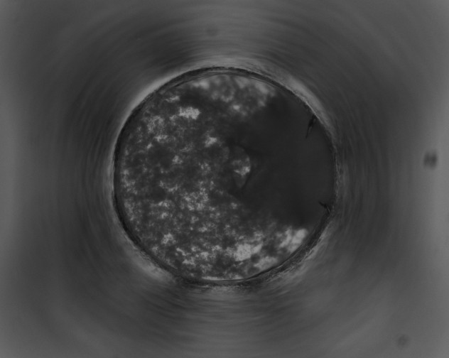 X0000100891028200807220946