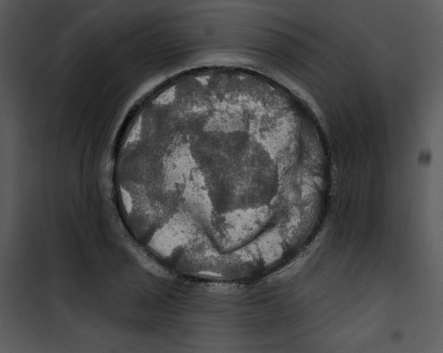 X0000100891029200807220946