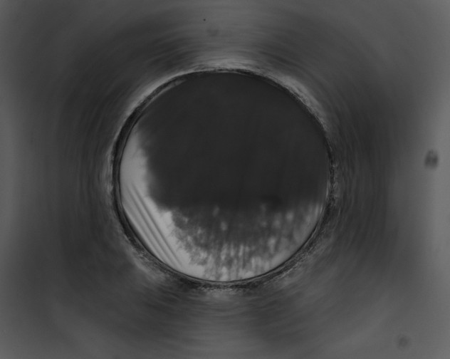 X0000100891031200807220946