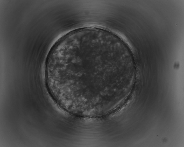 X0000100891032200807220946