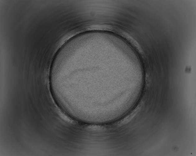 X0000100891033200807220946