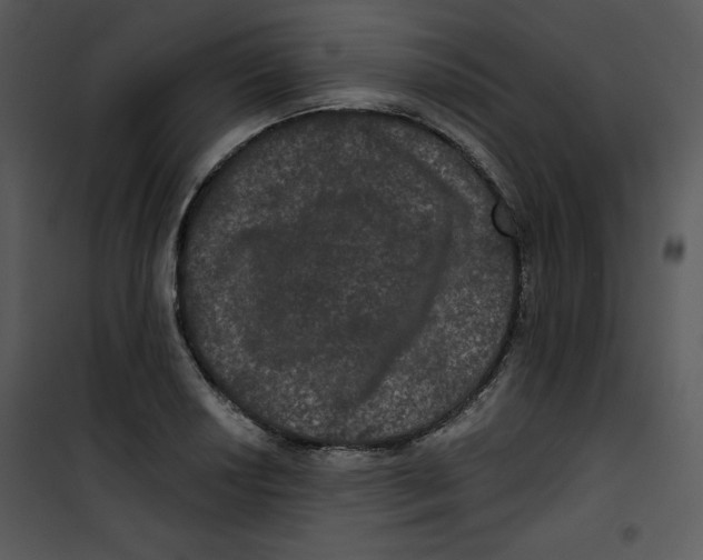 X0000100891034200807220946