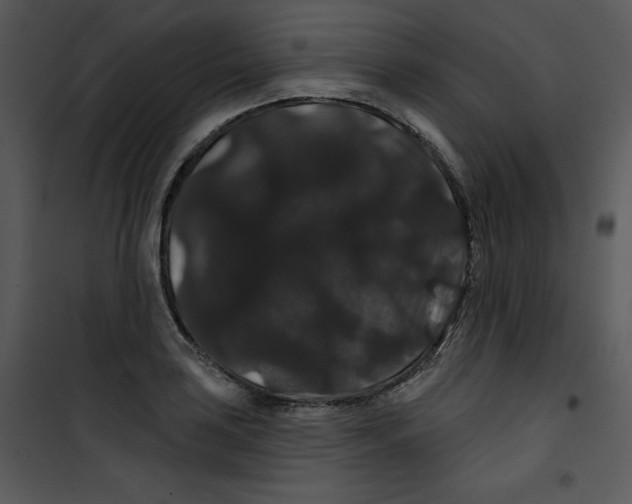 X0000100891035200807220946