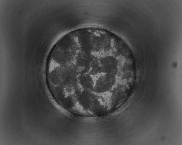 X0000100891038200807220946