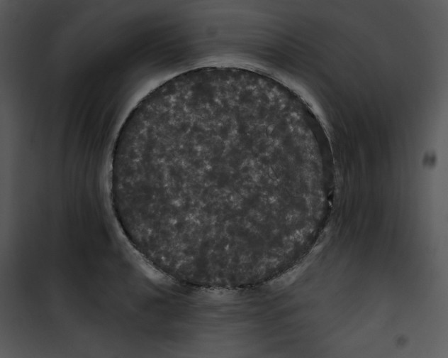 X0000100891040200807220947