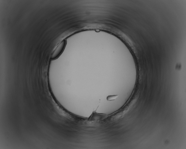 X0000100891041200807220947