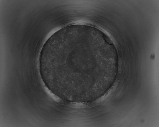 X0000100891042200807220947