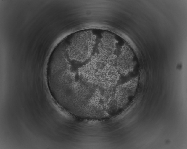 X0000100891043200807220947