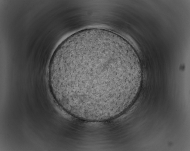 X0000100891044200807220947