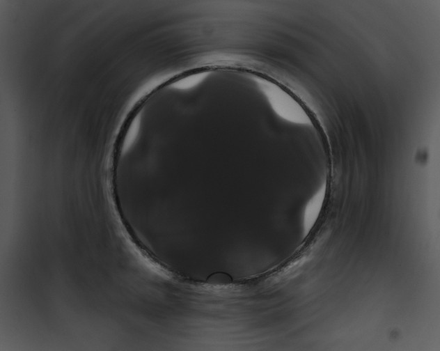 X0000100891045200807220947