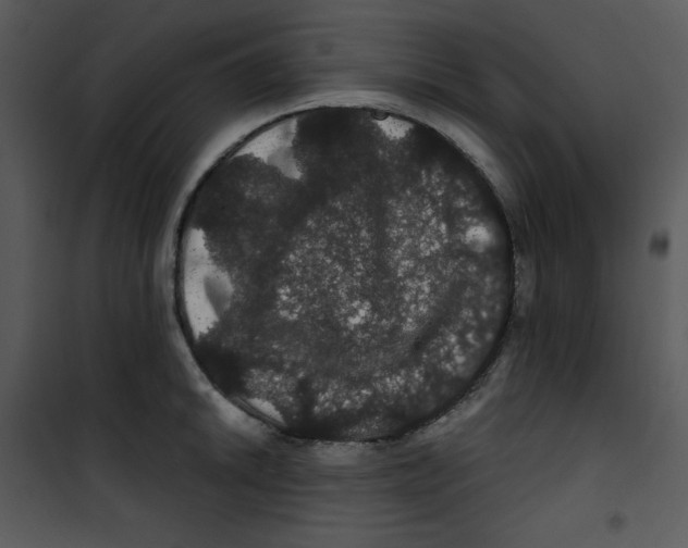 X0000100891046200807220947