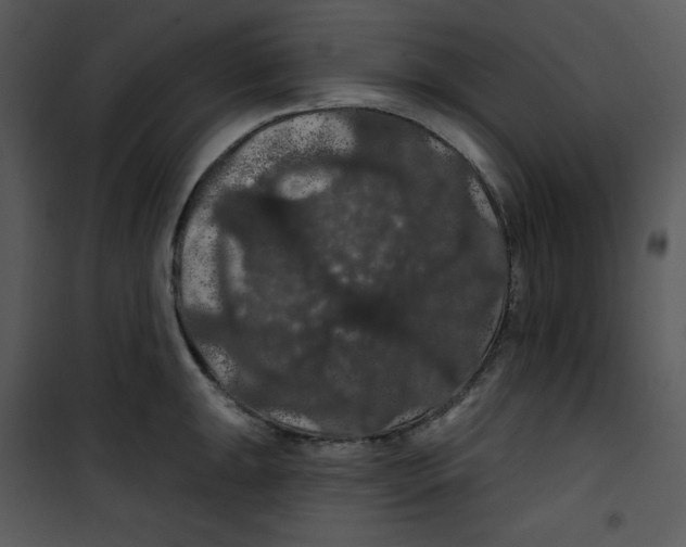 X0000100891047200807220947