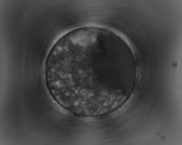 X0000100891048200807220947