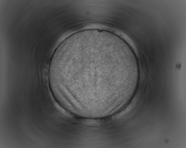 X0000100891049200807220947