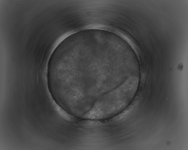 X0000100891050200807220947