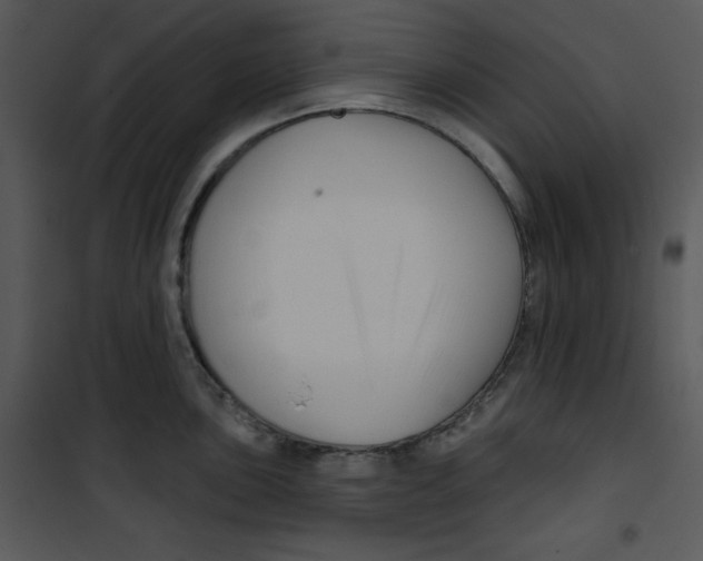 X0000100891051200807220947