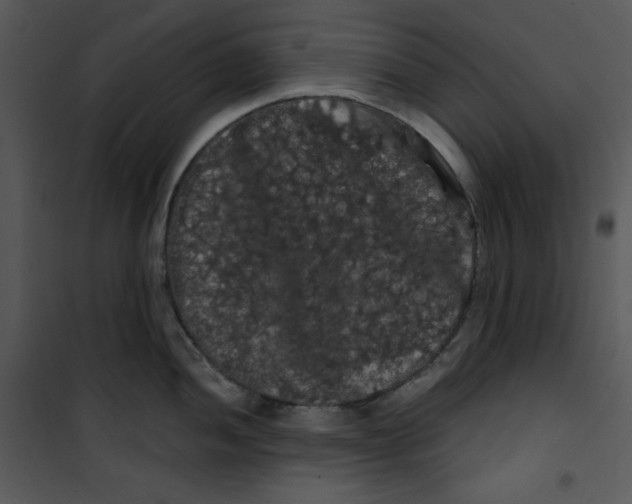 X0000100891052200807220947