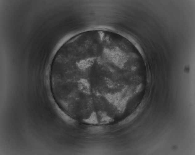 X0000100891054200807220947