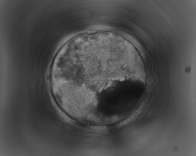 X0000100891055200807220947