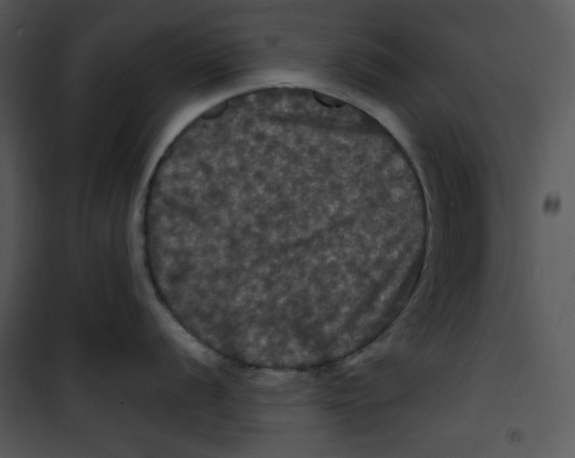 X0000100891056200807220947