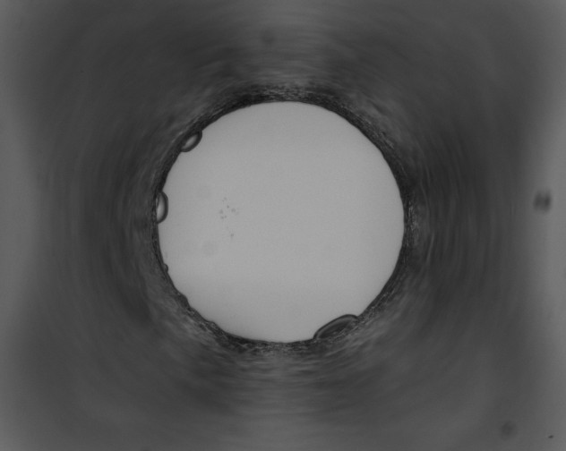 X0000100891057200807220946