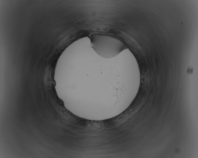 X0000100891058200807220946