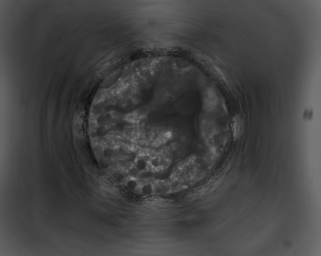 X0000100891059200807220946