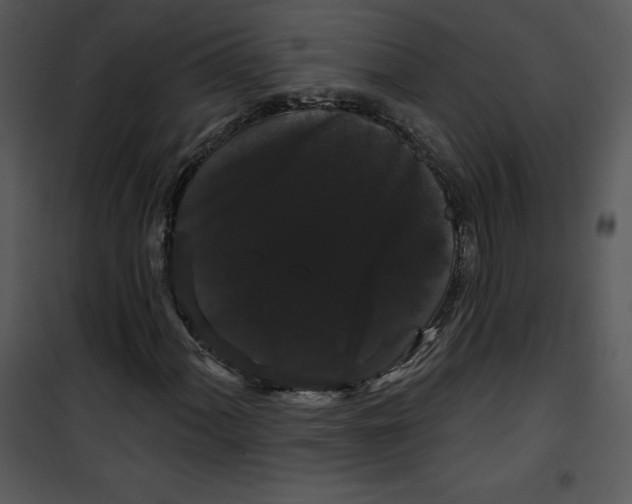 X0000100891060200807220946