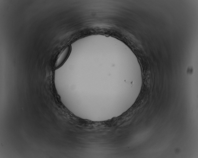 X0000100891061200807220946