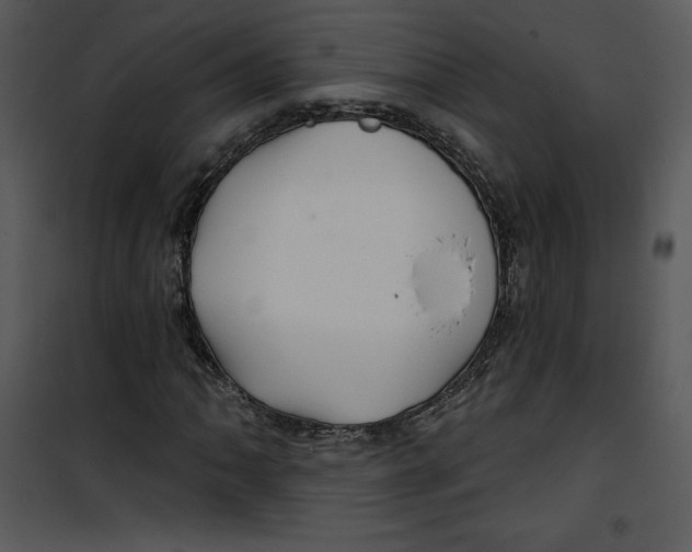 X0000100891062200807220946