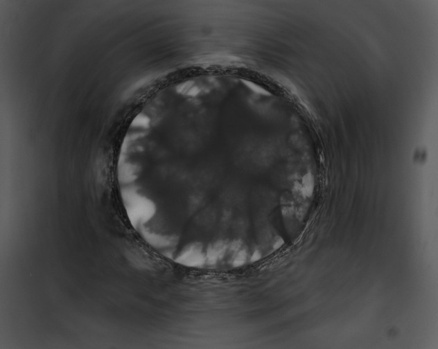 X0000100891063200807220946