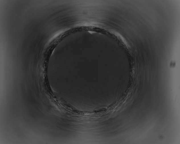 X0000100891064200807220946