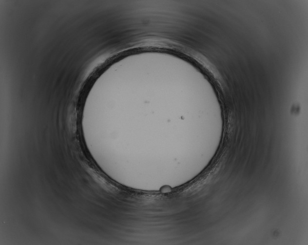 X0000100891067200807220946