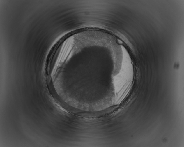 X0000100891068200807220946