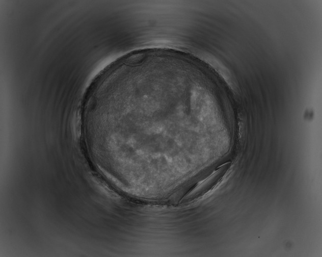 X0000100891069200807220946