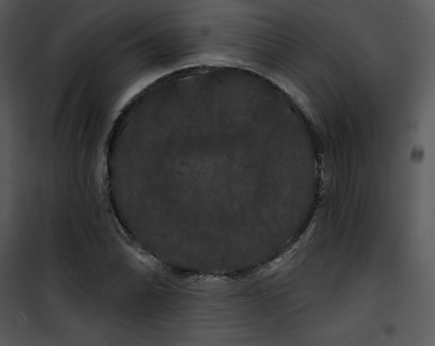 X0000100891070200807220946