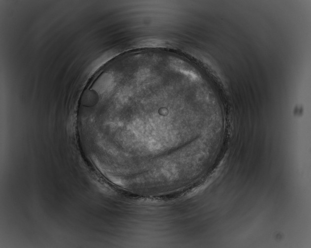 X0000100891073200807220946