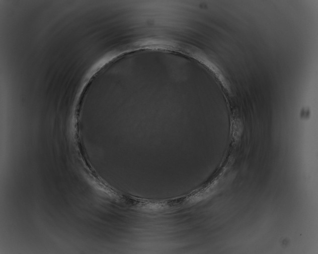 X0000100891074200807220946