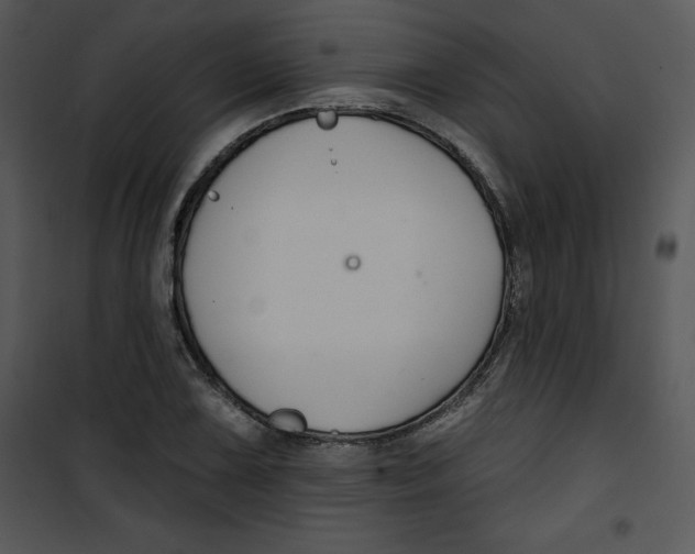 X0000100891075200807220946