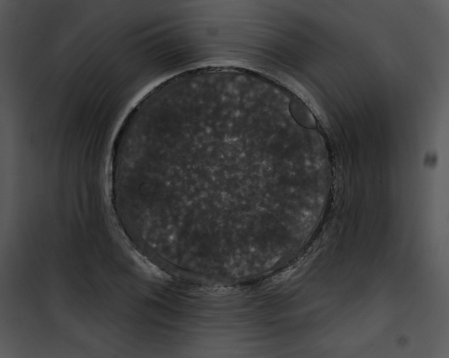 X0000100891076200807220946