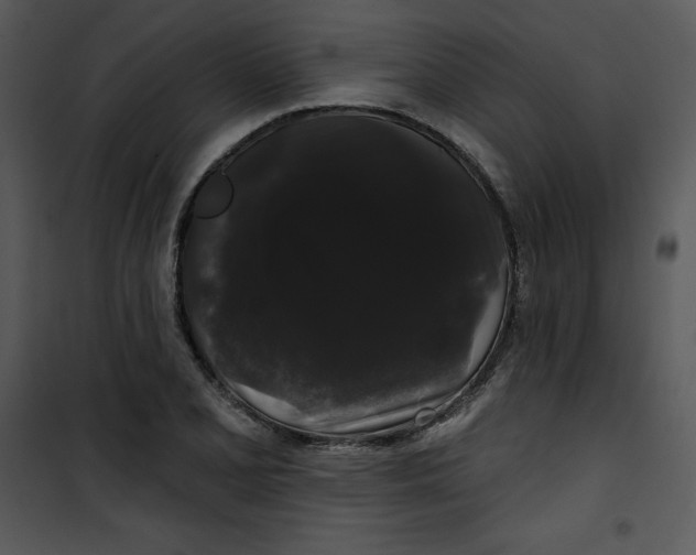 X0000100891077200807220946