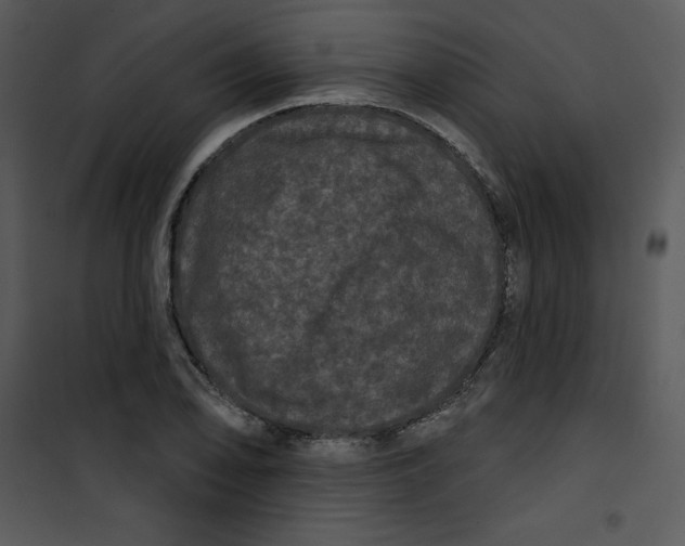 X0000100891078200807220946