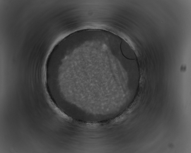 X0000100891080200807220946