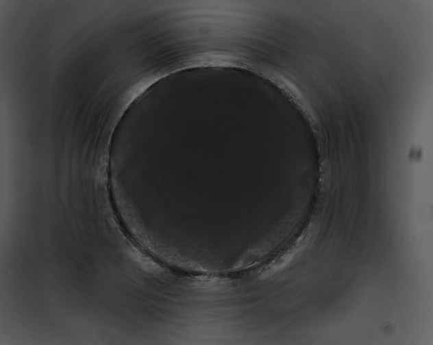 X0000100891081200807220946